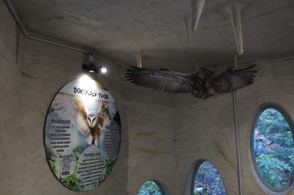 Design expozice Soví jeskyně