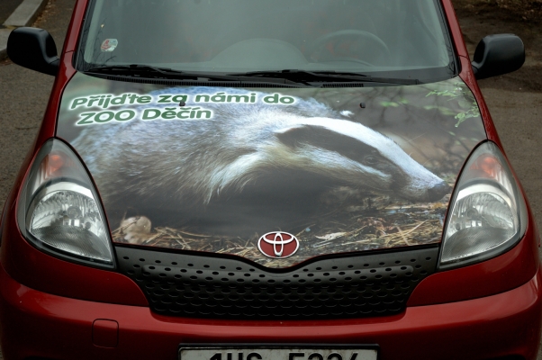 Reklamní polepy vozidel pro ZOO Děčín a expozici Rajské ostrovy