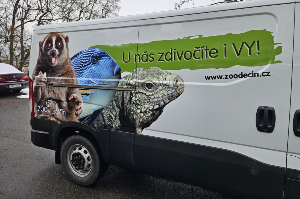 Reklamní polepy vozidel ZOO Děčín