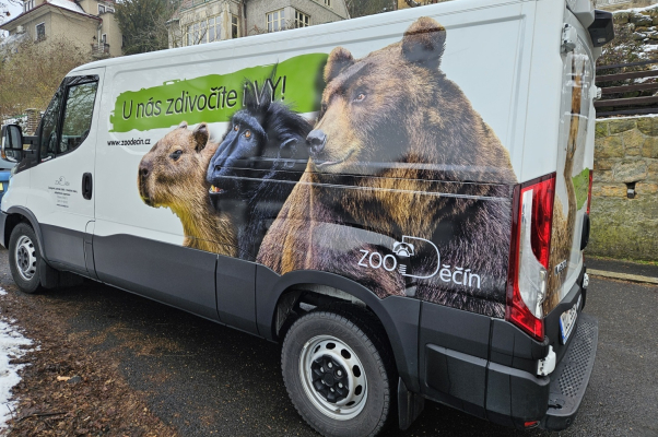Reklamní polepy vozidel ZOO Děčín